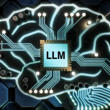 LLM